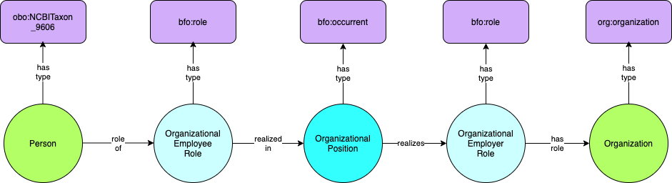 General employee pattern: person -> employee role -> position -> -> organization role -> organization